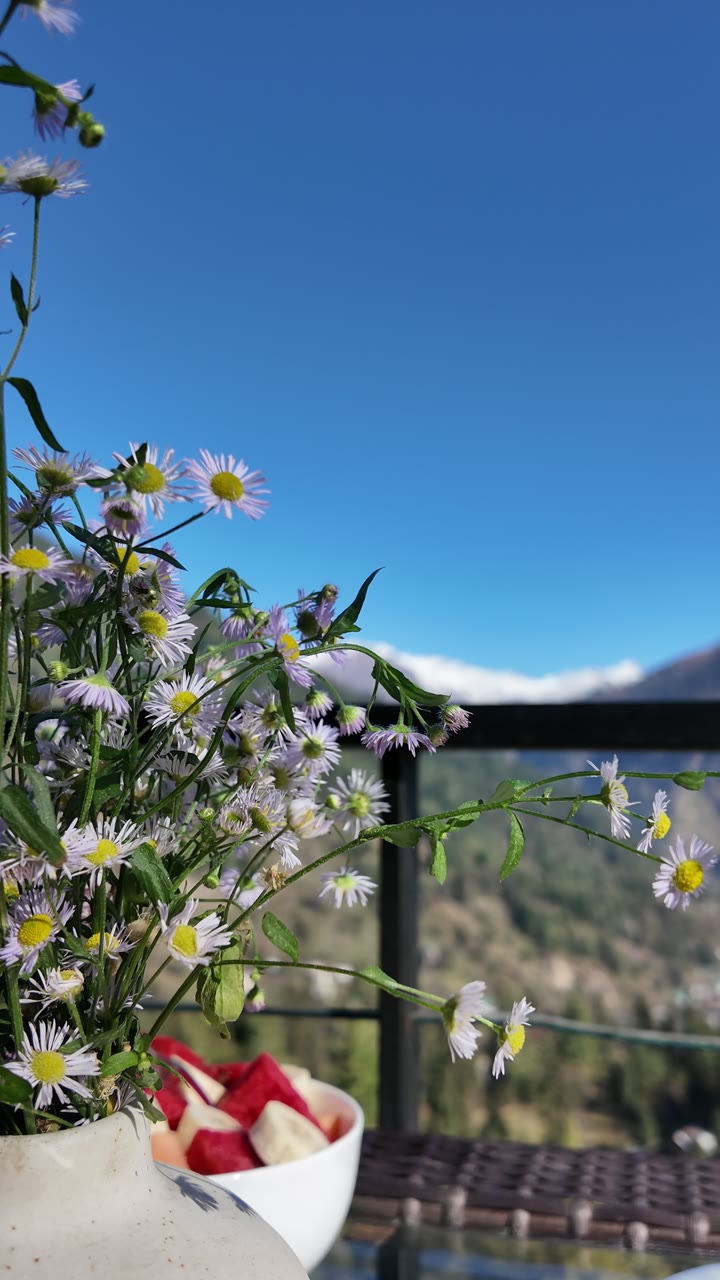 Wildflowers and a bowl of fruit on the deck, mountains behind.