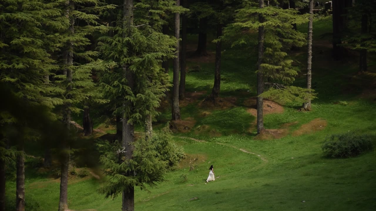 A lone walker crossing a green forest clearing.