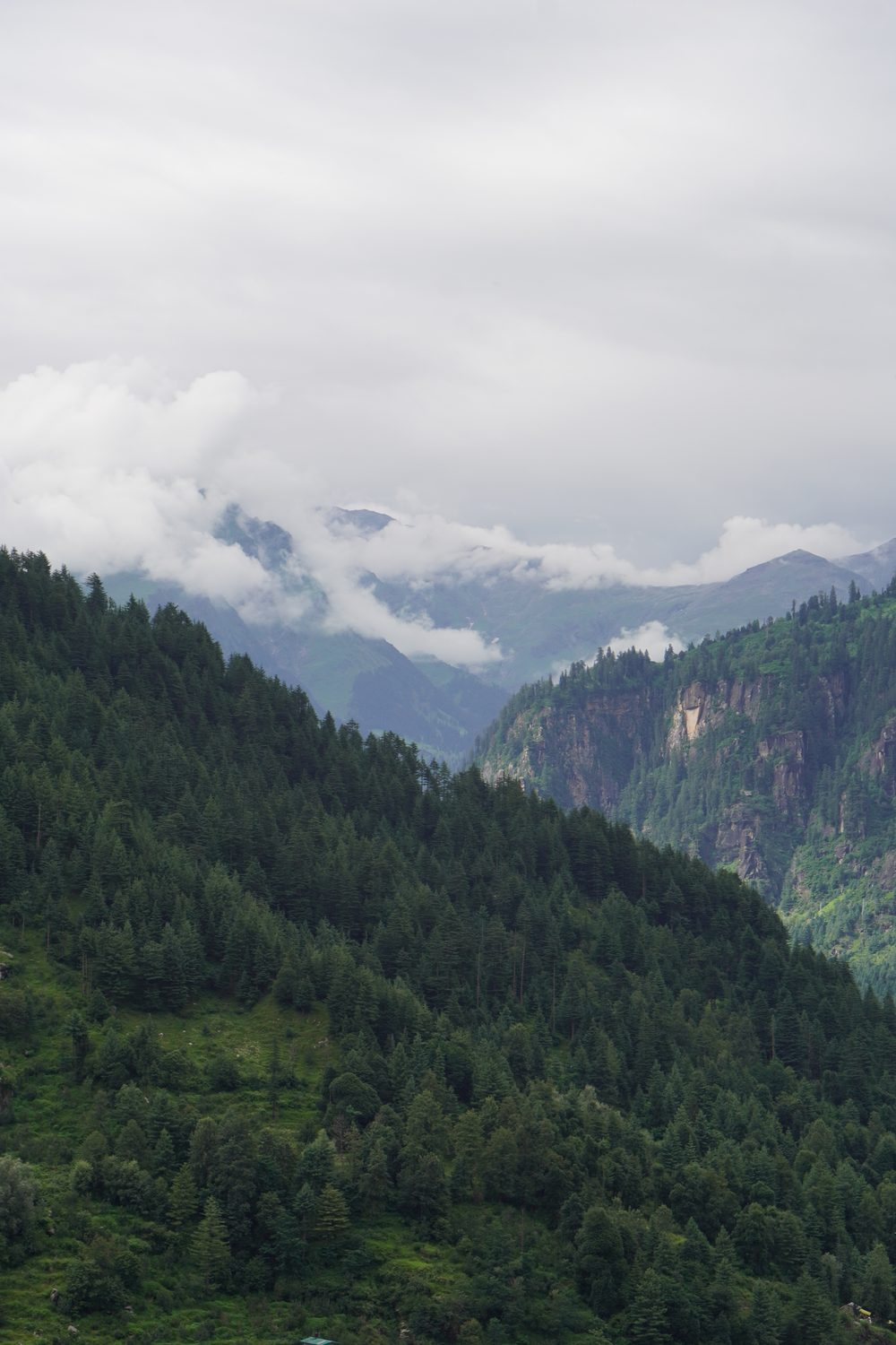 Misty green valley below low cloud.