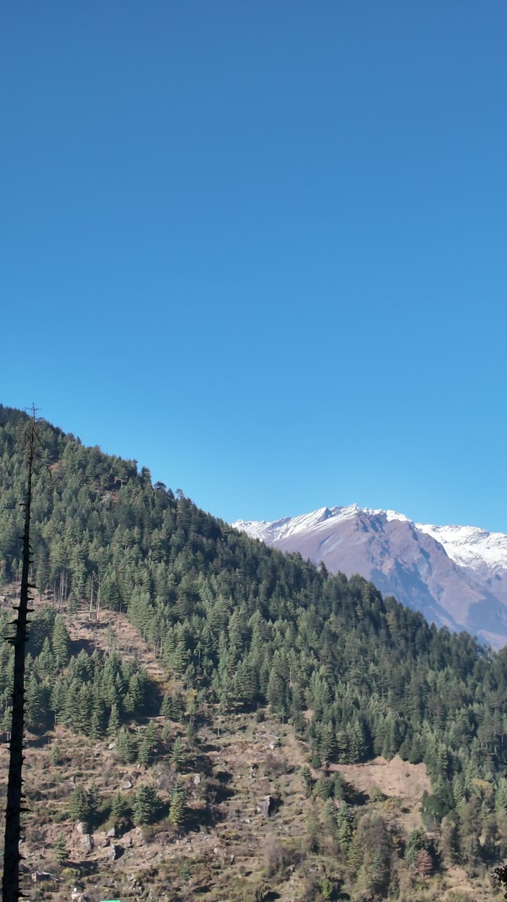 A clear blue morning sky over snow peaks and forested slopes.
