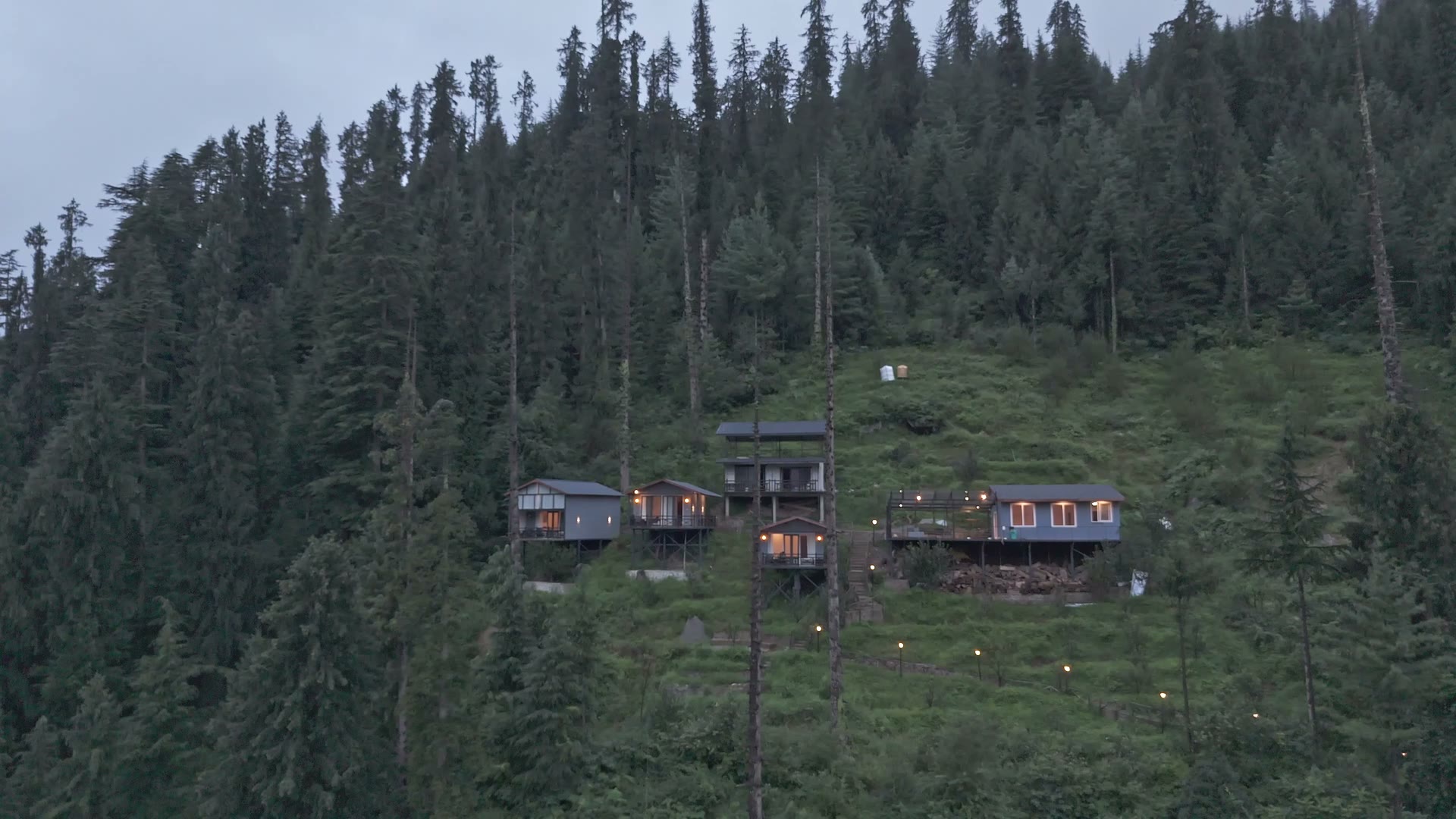 Aarzu fully revealed among the forest.