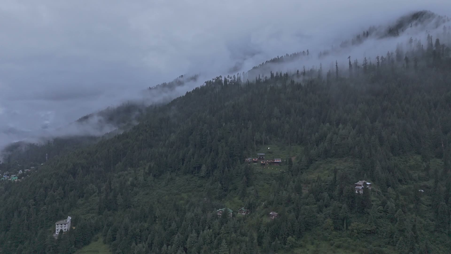 Forest seen from a distance, Aarzu not yet visible.