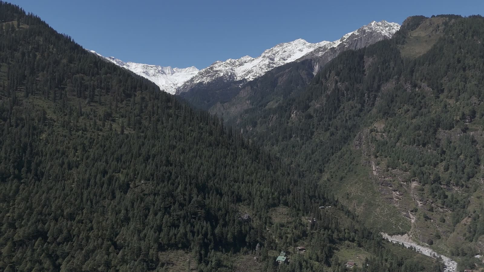 Aerial view over forested slopes toward snow-capped peaks under a clear blue sky.