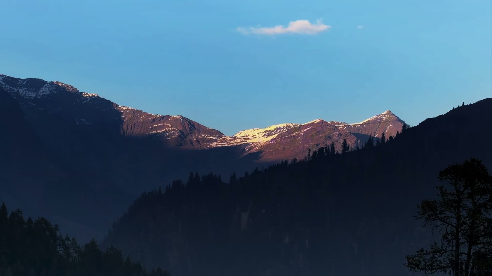 Alpenglow fading off the peaks into blue dusk, a tree in silhouette.
